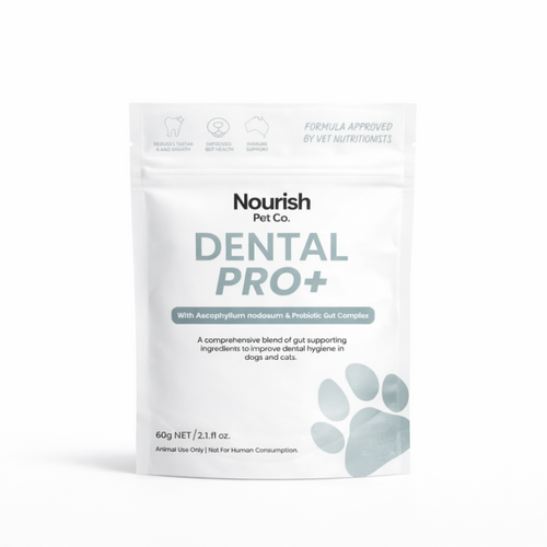 Nourish Pet Co. Dental Pro+ 60g