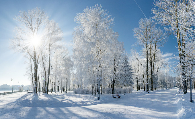 Winter