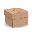Kraft Delivery Burger Box