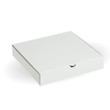 12" White Pizza Boxes