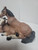 Resin Horse Figure - Mare and Foal - Brown and White