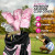 Premium Fashion Club Covers Pink Mandala