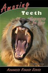Amazing Teeth Designed by God Amazing Teeth Designed by God