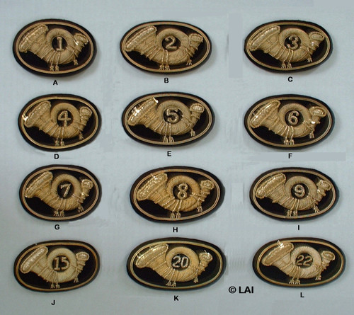 Civil war infantry bugle hat insignia company number black oval