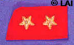 Confederate civil war Lt Colonel insignia two gold stars collar placement