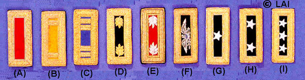 civil war shoulder boards deluxe large officer pair with gold border