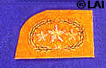 Civil war confederate general collar rank insignia gold stars wreath