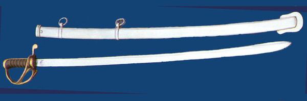 M1833 US Dragoon saber with curved cavalry blade and brass guard for military display.