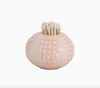 Sea Urchin Match Holder/Striker