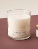 Candlefish No 31 - 9 oz Jar