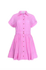 Howard Dress in Watermelon Stripe