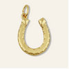 Fortuna Horseshoe Cord Necklace