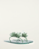 Flower Jelly Flat Sandal in Military and Sage Green