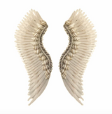 Shell Madeline Earrings in White
