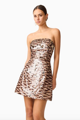 Noemi Mini Dress in Coco