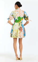 Brooklyn Mini Dress in Primrose Florals
