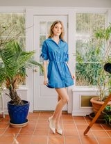 Shannon Mini Dress in Palace Blue