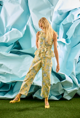 Doering Top Garden Rose