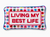 Best Life Needlepoint Pillow