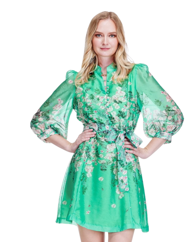 Stand Collar A-Line Dress in Emerald Bloom