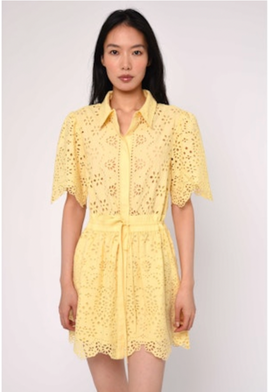 Cas Mini Dress in Sunlight