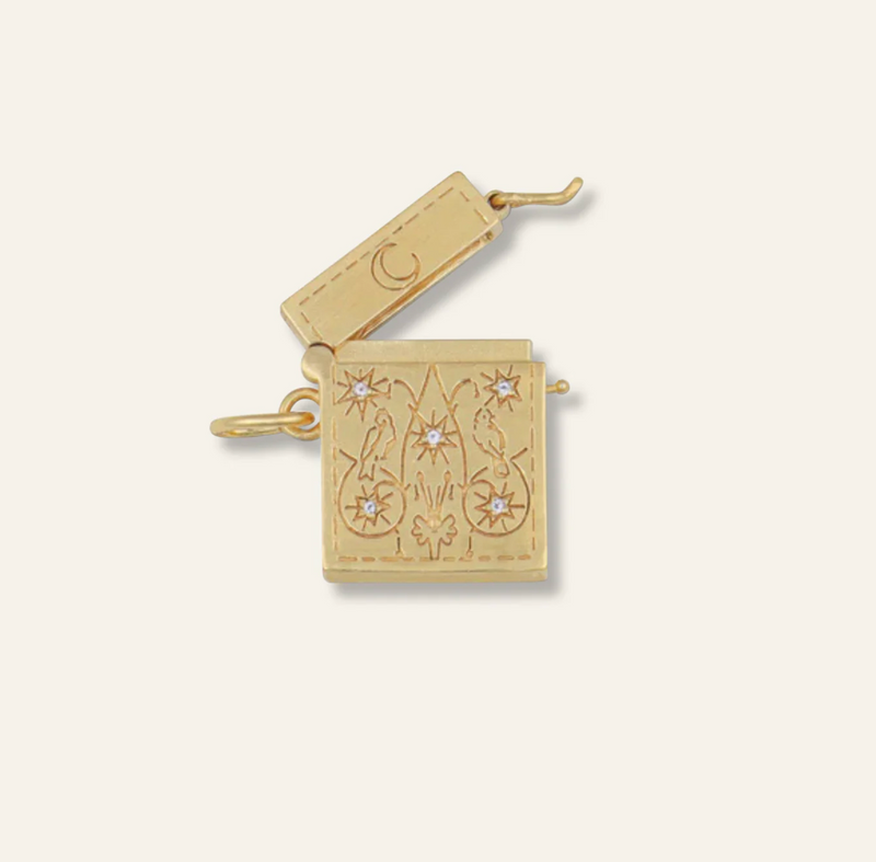 Vesta Case on Long Link Chain