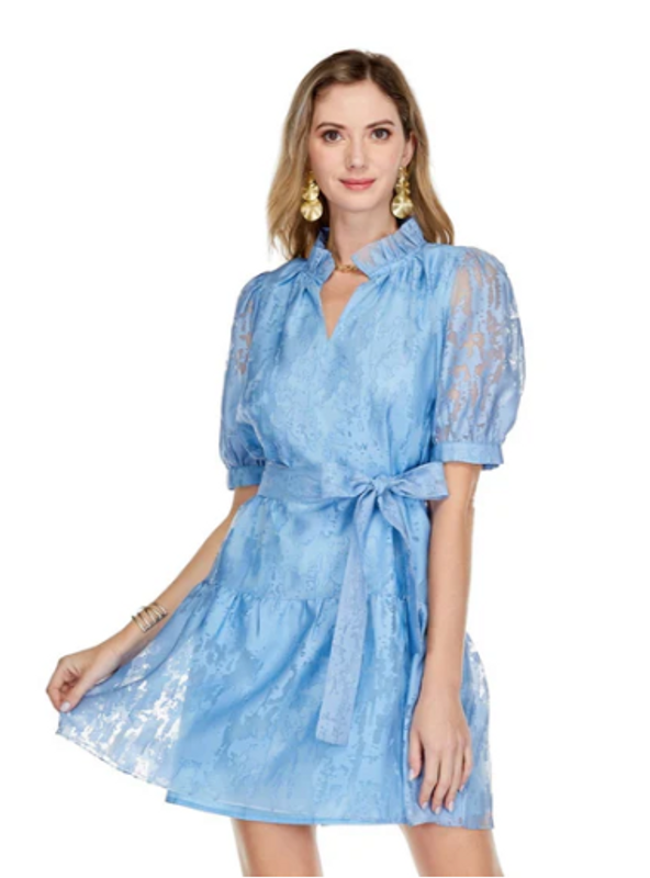 Ruffle Neck & Hem Dress in Blue