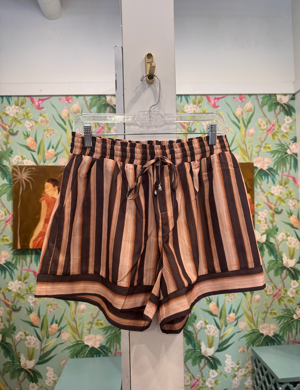 Trimmed Pull on Short in Brown Stripes