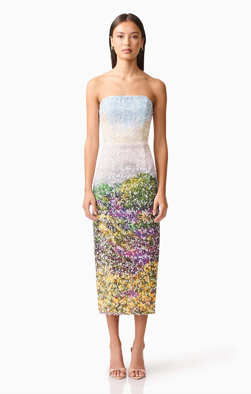 Arden Midi Dress in Multi