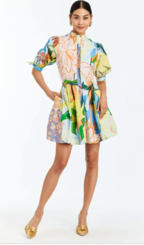 Brooklyn Mini Dress in Primrose Florals