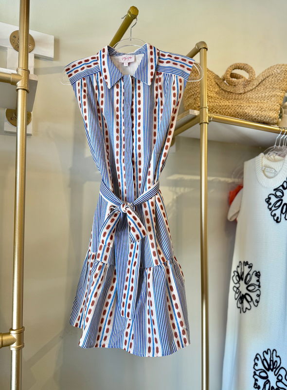 Front Placket Shirt Dress in Colonial Stripe