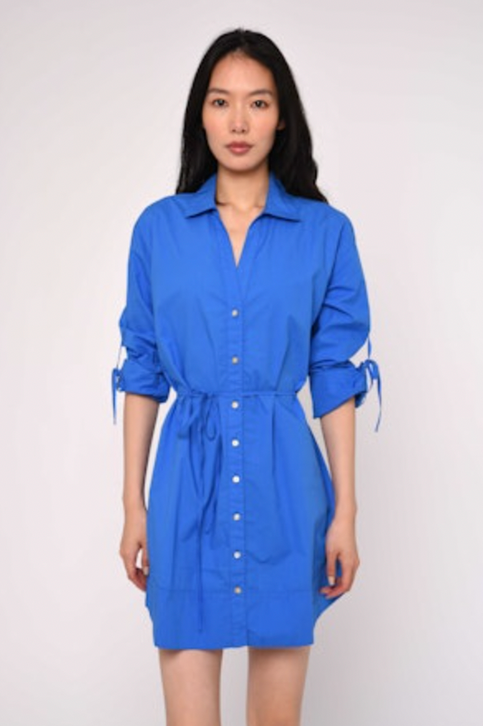 Shannon Mini Dress in Palace Blue