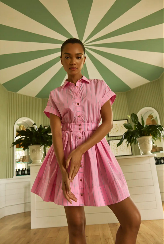 Howard Dress in Watermelon Stripe