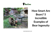 How Smart Are Bears? 5 Incredible Examples of Bear Ingenuity (and How to Outsmart Them)