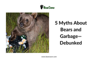 5 Myths About Bears and Garbage—Debunked