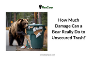 How Much Damage Can a Bear Really Do to Unsecured Trash?