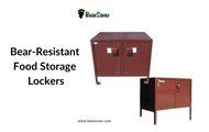 Secure Your Campsite: A Guide to BearSaver’s Bear-Resistant Food Storage Lockers