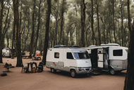Top Reasons Why Animal-Proof Trash Cans Are a Must for Campgrounds