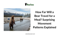 How Far Will a Bear Travel for a Meal? Surprising Movement Patterns Explained