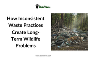 How Inconsistent Waste Practices Create Long-Term Wildlife Problems