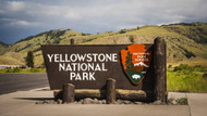 The Role of BearSaver in Promoting Responsible Tourism