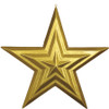 31.5 Inch Star Gold