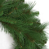 Close Up of Mixed Pine