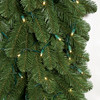 Closeup of Pine Garland with 5mm LED Lights