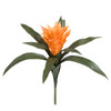 A-72711- Orange
14" Polyblend Outdoor Guzmania