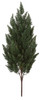 A-121 - 41" Cypress Shrub