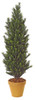 5' Podocarpus Bush
Synthetic Trunk 
Decorative Pot Sold Separately