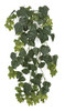 36 Inch Outdoor English Ivy Vine