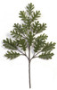 29 Inch White Oak Branch Green