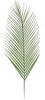 31 Inch Areca Palm Branch 
Light Green